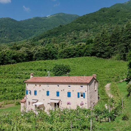 Agriturismo Podere Del Bosc Valmareno Eksteriør bilde