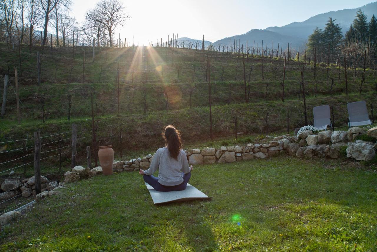 Agriturismo Podere Del Bosc Valmareno Eksteriør bilde
