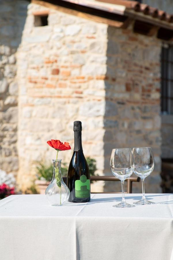 Agriturismo Podere Del Bosc Valmareno Eksteriør bilde