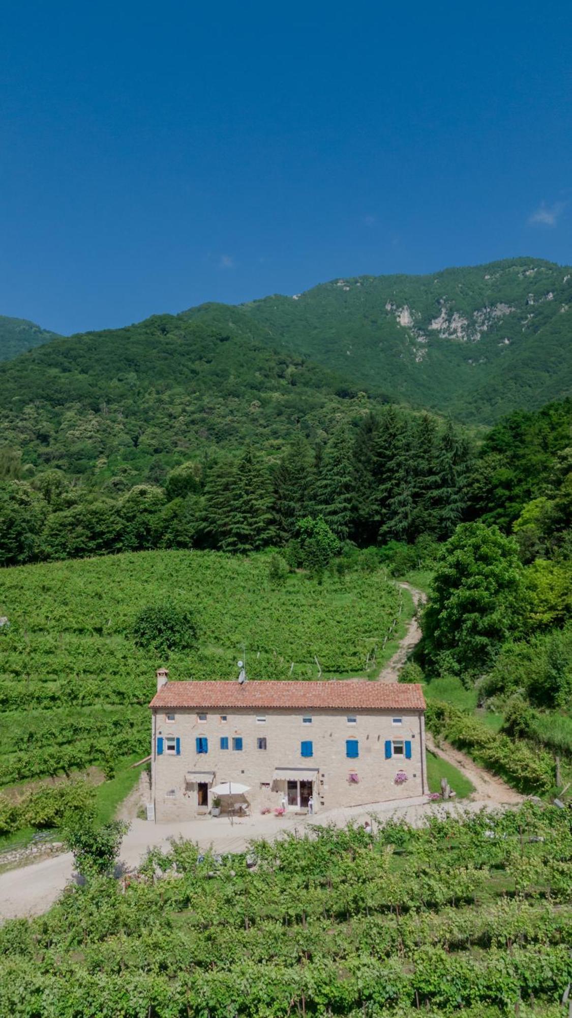 Agriturismo Podere Del Bosc Valmareno Eksteriør bilde