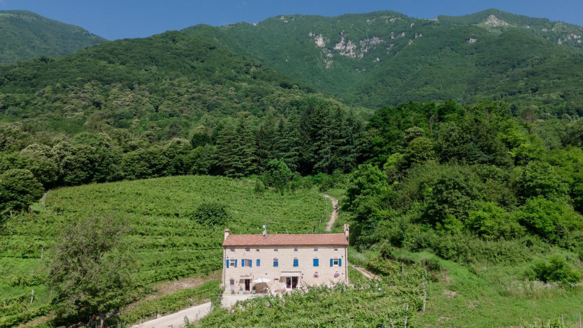 Agriturismo Podere Del Bosc Valmareno Eksteriør bilde