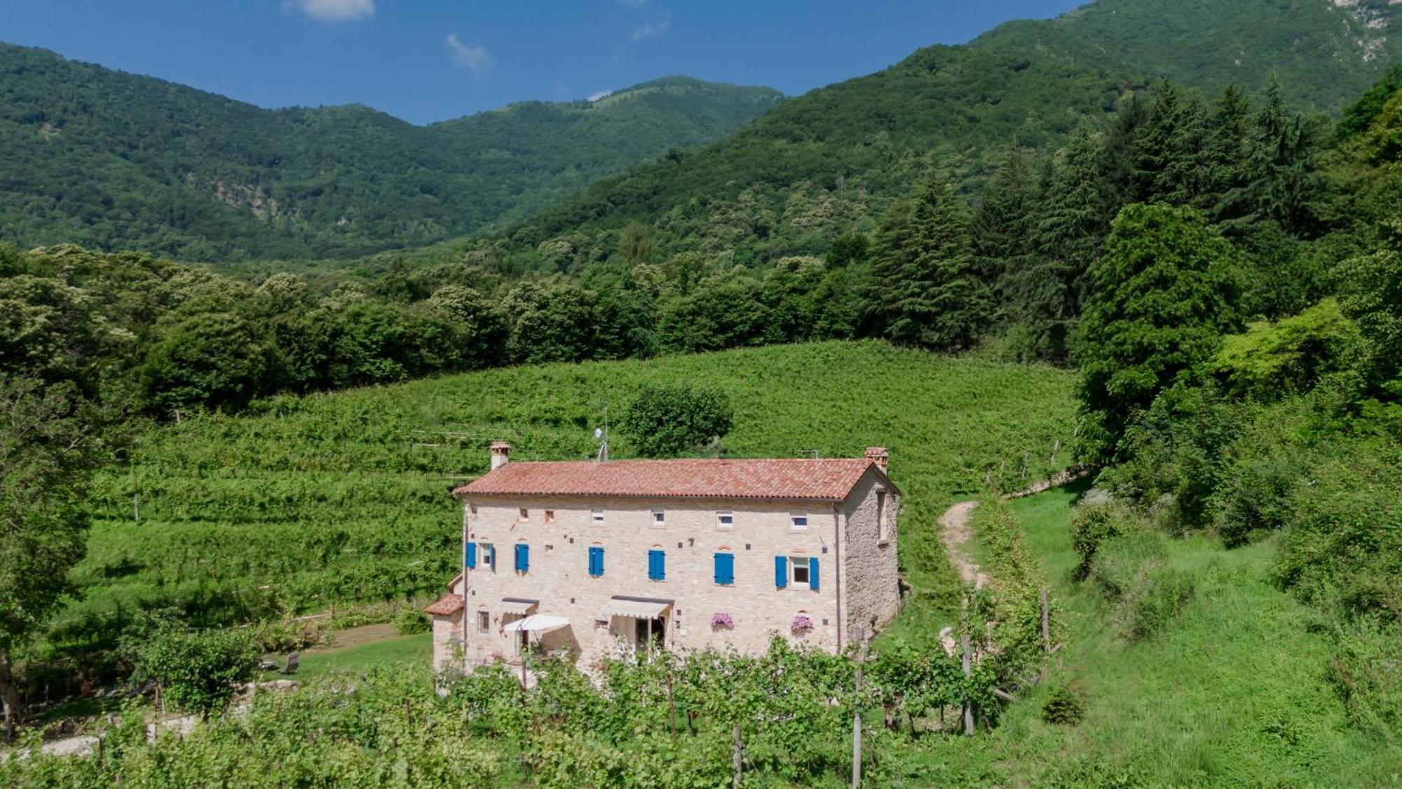 Agriturismo Podere Del Bosc Valmareno Eksteriør bilde